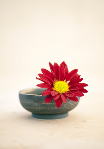 shutterstock red flower in bowl 700x1000