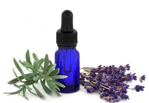 shutterstock_blue dropper bottle with herbs- 600x415