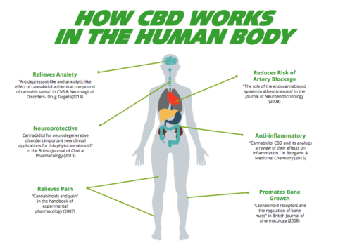 questions about CBD oil